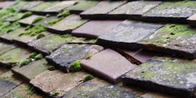 Bovingdon Green roof repair costs